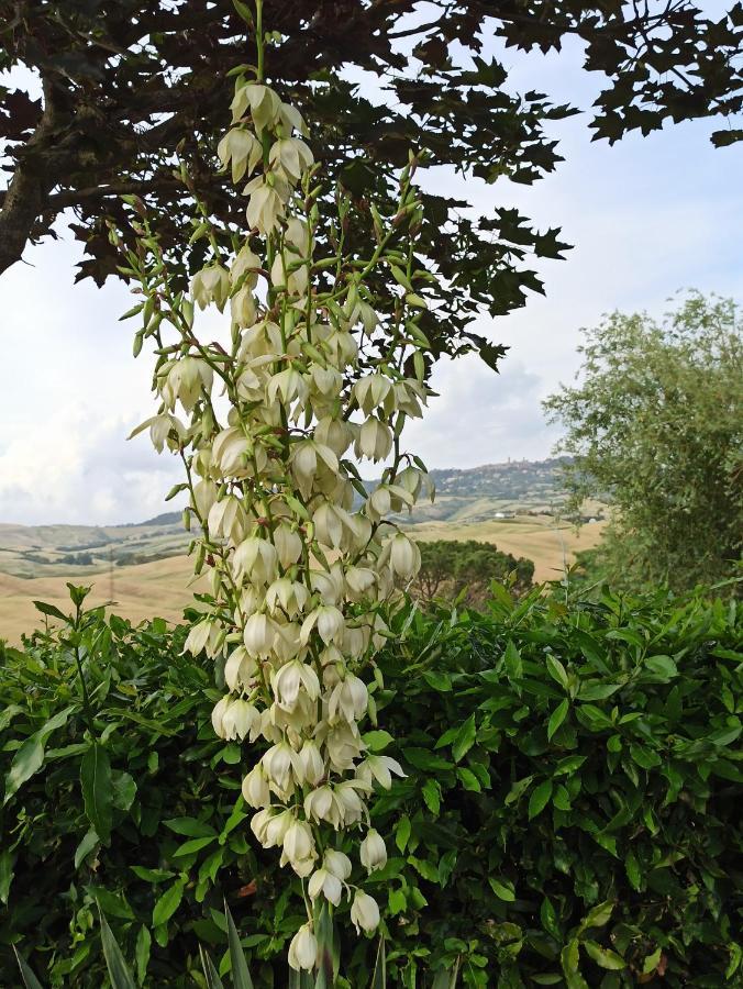 Vakantieboerderij La Spiga