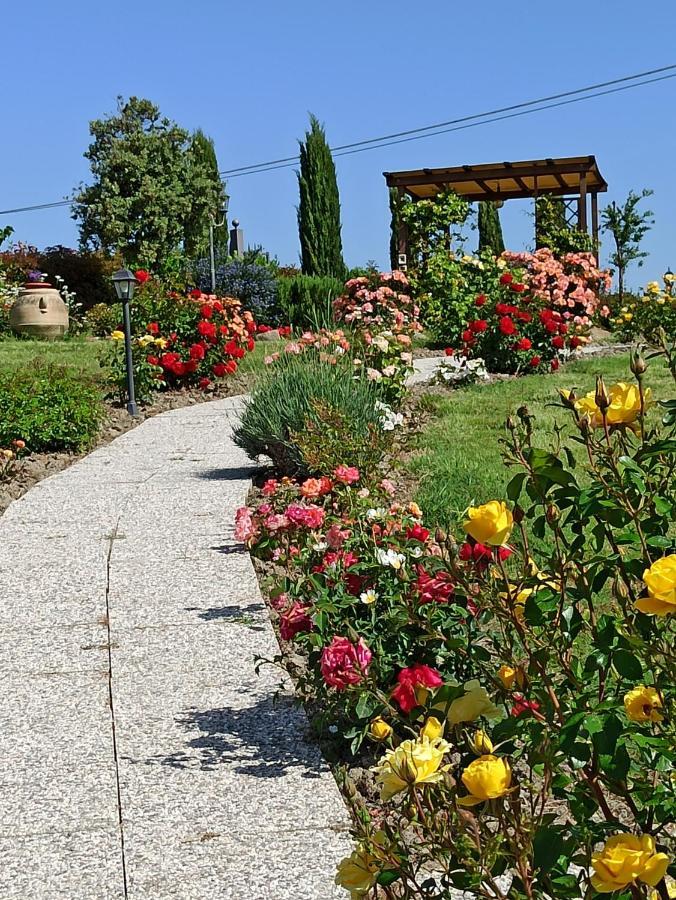 Vakantieboerderij La Spiga *