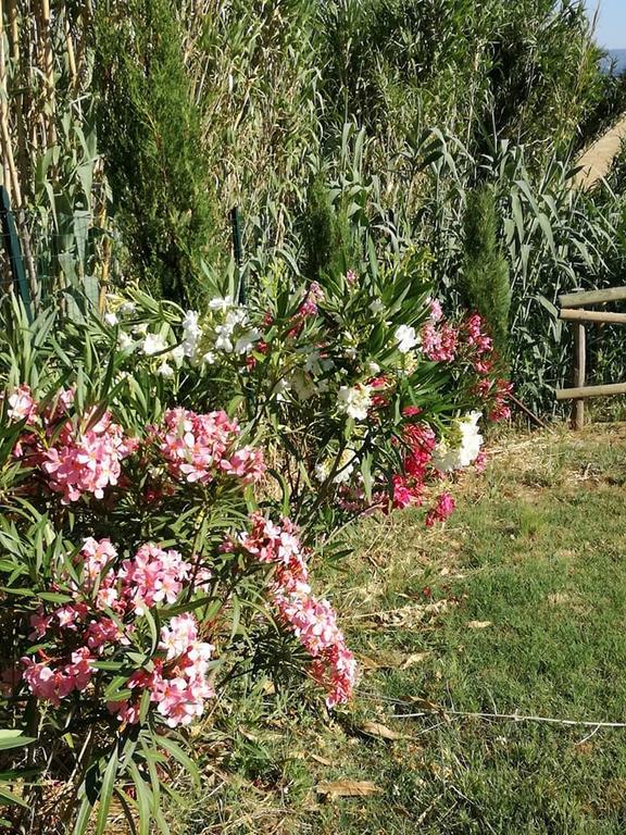 Vakantieboerderij La Spiga