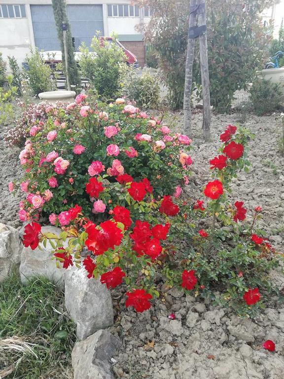 Vakantieboerderij La Spiga Montecatini Val di Cecina